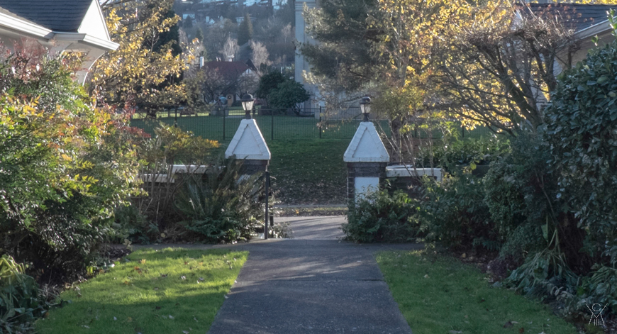 Where Panda leads the police.